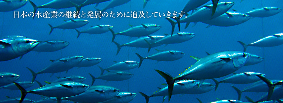 人と海と未来をつなぐ―Connect people, sea and future