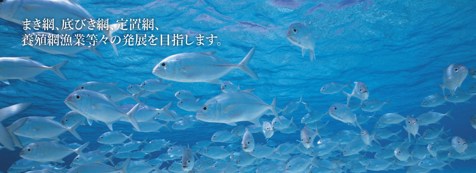 人と海と未来をつなぐ―Connect people, sea and future