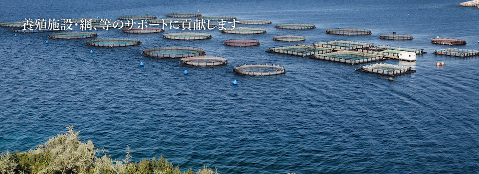 人と海と未来をつなぐ―Connect people, sea and future