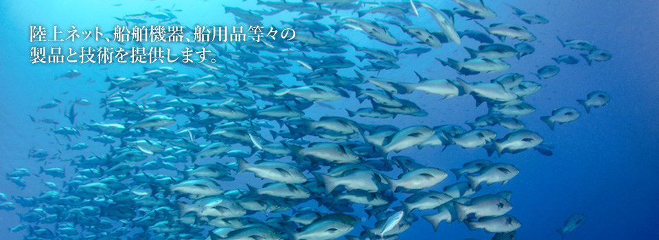 人と海と未来をつなぐ―Connect people, sea and future